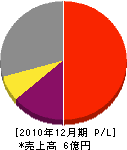 カワサキ電通 損益計算書 2010年12月期