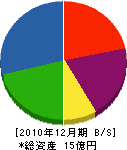 成斗工務店 貸借対照表 2010年12月期