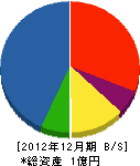 相澤工務店 貸借対照表 2012年12月期