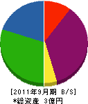 橋村住設 貸借対照表 2011年9月期