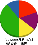 野村総合建装 貸借対照表 2012年9月期