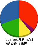 小西美術工藝社 貸借対照表 2011年6月期