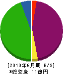 京葉緑化工事 貸借対照表 2010年6月期