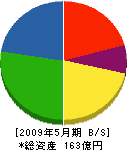 大仙 貸借対照表 2009年5月期
