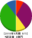 長谷川建設 貸借対照表 2010年9月期