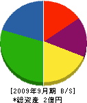 桜井管工業 貸借対照表 2009年9月期