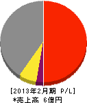 糸賀工務店 損益計算書 2013年2月期