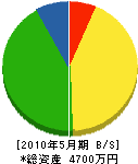 廣川建設 貸借対照表 2010年5月期