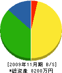 遠藤電気工事 貸借対照表 2009年11月期