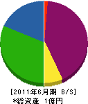 紀宝電設 貸借対照表 2011年6月期