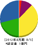 佐藤電気商会 貸借対照表 2012年4月期