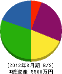 中高電業 貸借対照表 2012年3月期