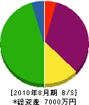 奥村総業 貸借対照表 2010年8月期