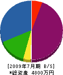 豊川電気工事 貸借対照表 2009年7月期