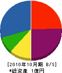 遠藤工業 貸借対照表 2010年10月期