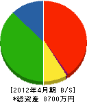 中島電気商会 貸借対照表 2012年4月期