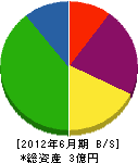 泰辰産業 貸借対照表 2012年6月期