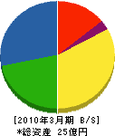 龍王産業 貸借対照表 2010年3月期
