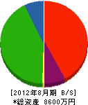 高崎設備 貸借対照表 2012年8月期