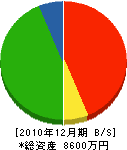 石川 貸借対照表 2010年12月期