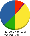小野岡塗装 貸借対照表 2012年3月期