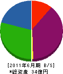 東京セメント工業 貸借対照表 2011年6月期
