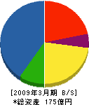 日本ピーエス 貸借対照表 2009年3月期