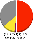 成田防災設備 損益計算書 2012年6月期