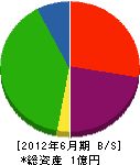柳田建設 貸借対照表 2012年6月期