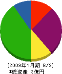 松本電建 貸借対照表 2009年1月期