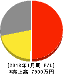 飯塚緑地 損益計算書 2013年1月期