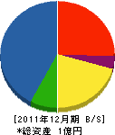 タイセー 貸借対照表 2011年12月期