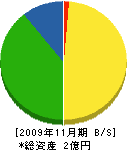 藤本組 貸借対照表 2009年11月期