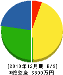前田電工 貸借対照表 2010年12月期