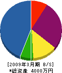 野沢設備 貸借対照表 2009年3月期