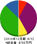 堀口電工 貸借対照表 2010年12月期