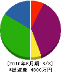 カワムラ 貸借対照表 2010年6月期