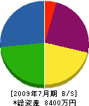 大津造園 貸借対照表 2009年7月期