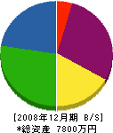 渡邊土木 貸借対照表 2008年12月期