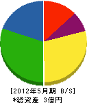 ヨシノ工業 貸借対照表 2012年5月期