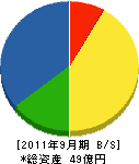 岩崎工業 貸借対照表 2011年9月期