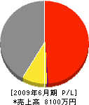 前田組 損益計算書 2009年6月期