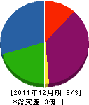 松田金物店 貸借対照表 2011年12月期