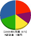 渡辺組 貸借対照表 2009年6月期