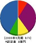 安田 貸借対照表 2008年9月期