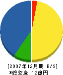 大島電気 貸借対照表 2007年12月期
