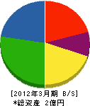 斉藤土建 貸借対照表 2012年3月期