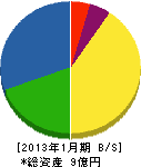 北海道ハウス 貸借対照表 2013年1月期