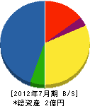 早川材木店 貸借対照表 2012年7月期