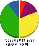 広島組 貸借対照表 2010年9月期